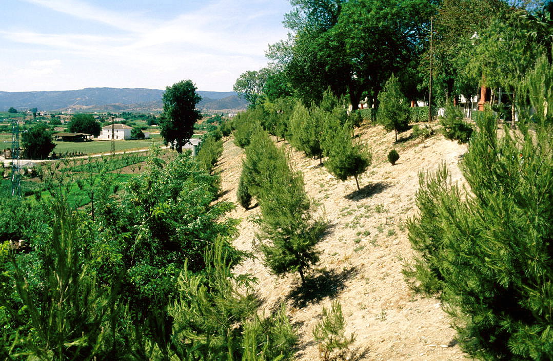 Las Vistillas district