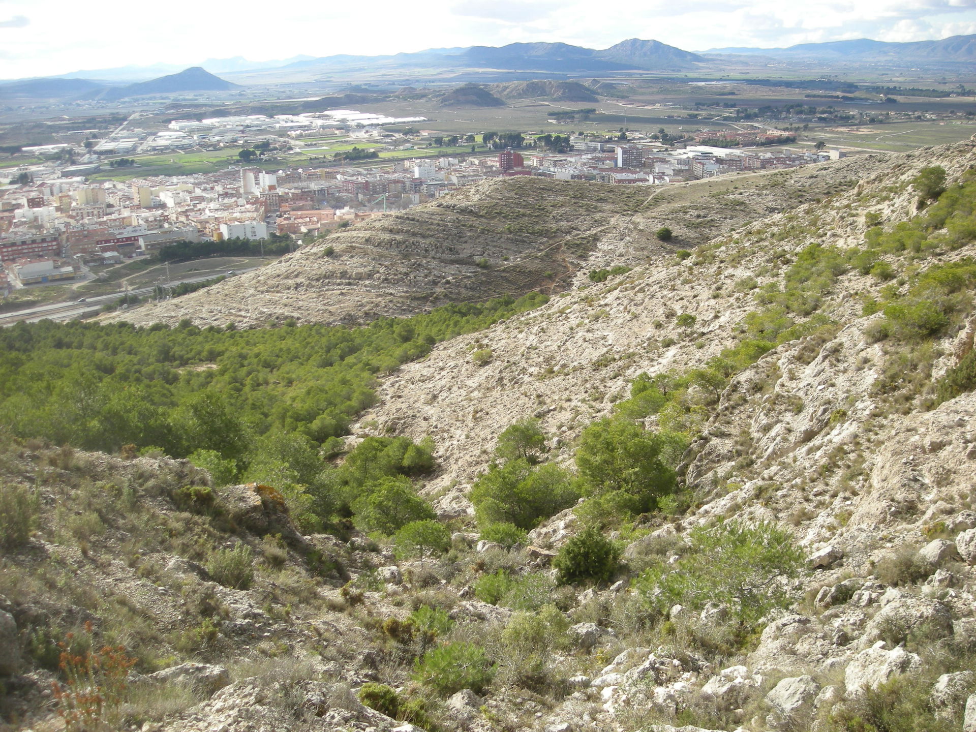 Polígono Industrial view 1
