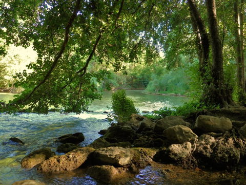Ribera view 3