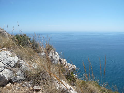 Costa Granadina view 3