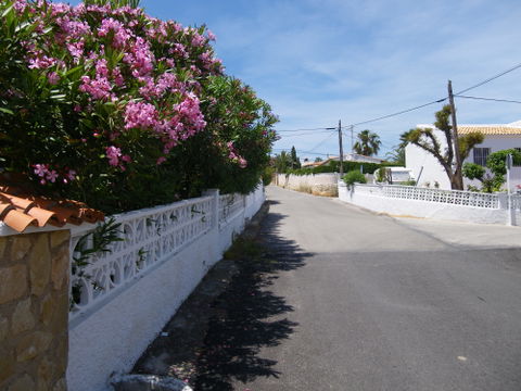 Ortenbach view 1