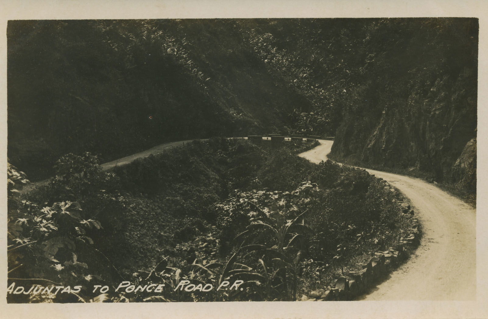 Ponce view 2