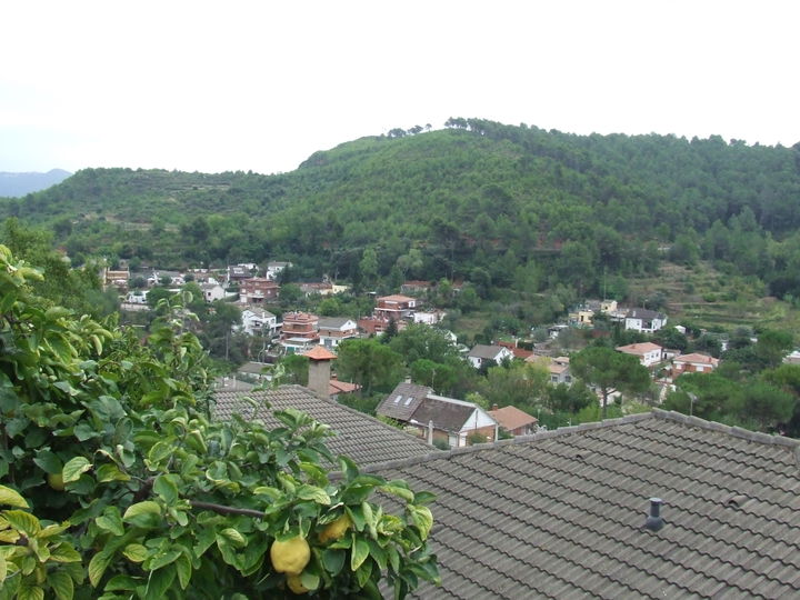 Racó del Bosc district