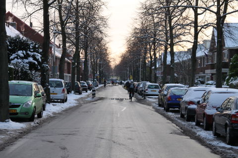 Hoograven view 1