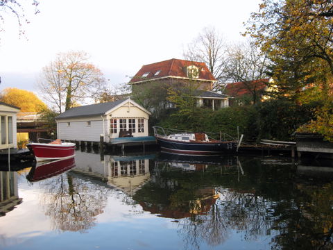Oog in Al view 2
