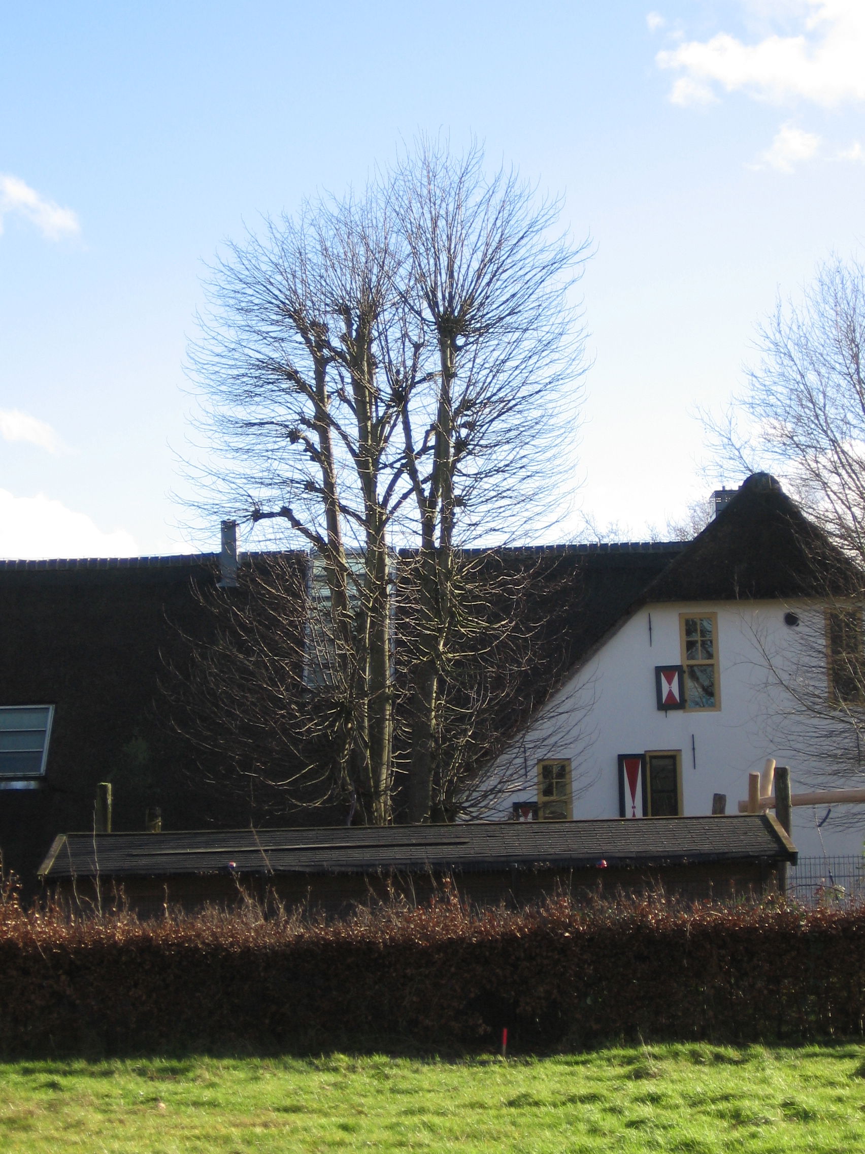 De Uithof view 1