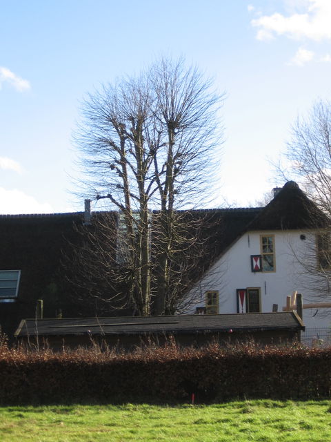 De Uithof view 1