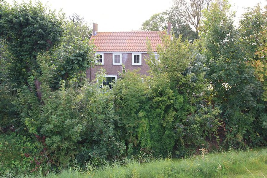 Rijnvliet view 2