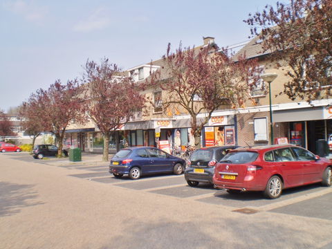 Professorenwijk view 1