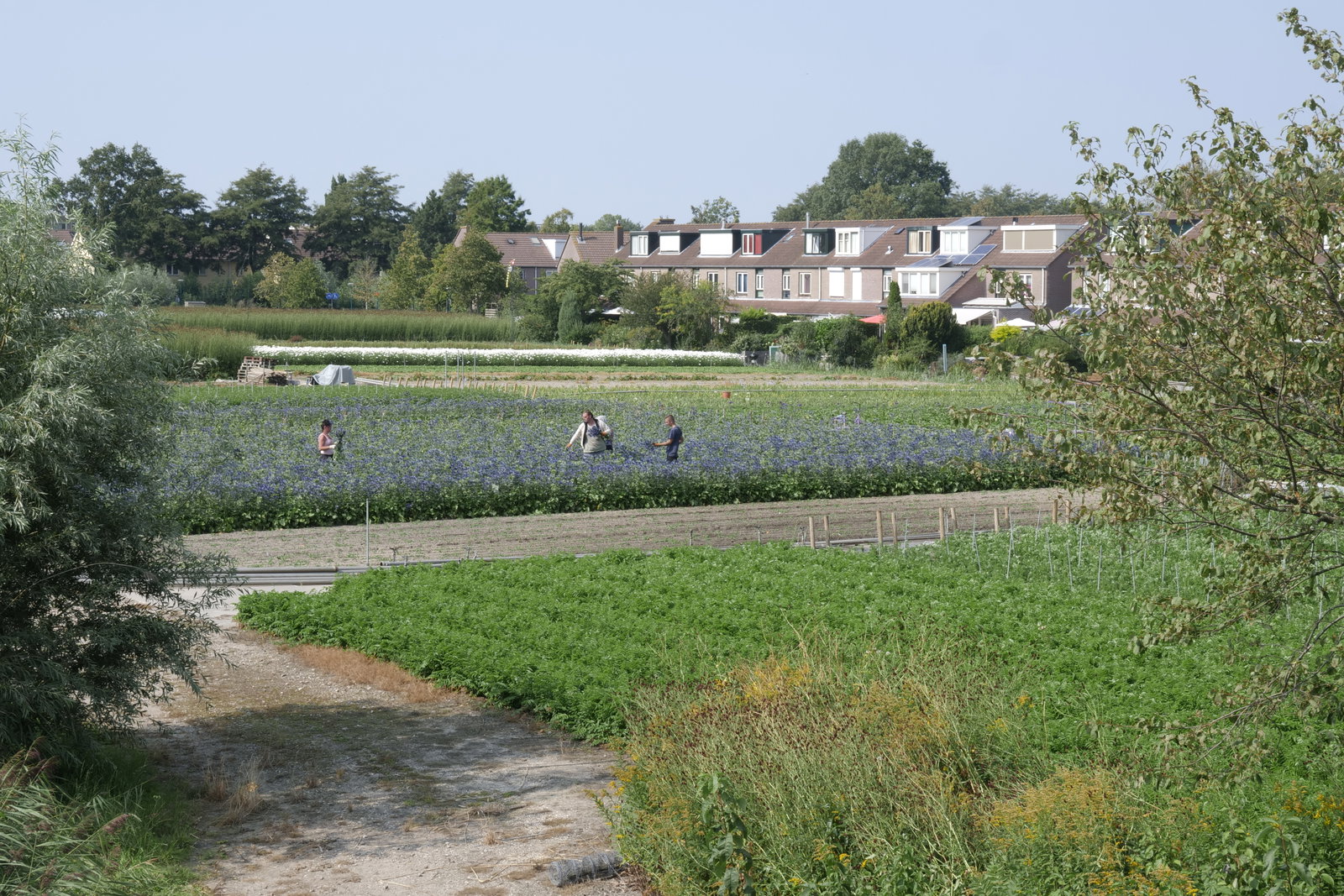 Oegstgeest district