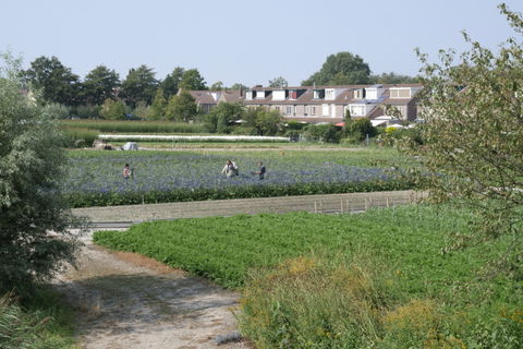Oegstgeest view 1