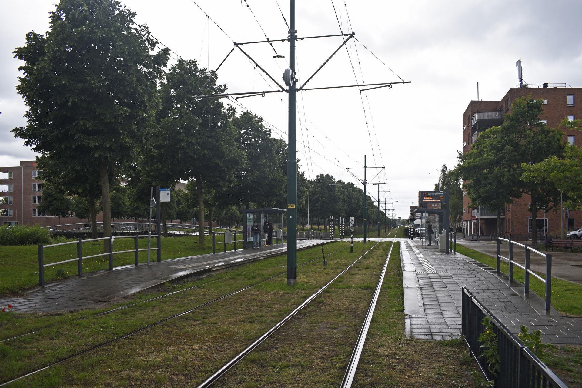Centrum view 2