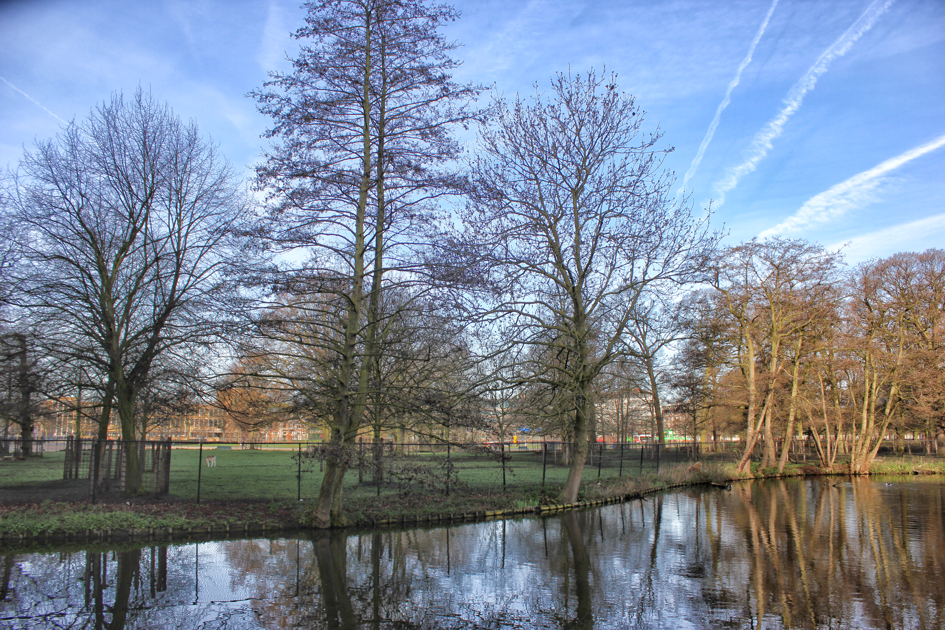 Haagse Hout view 1
