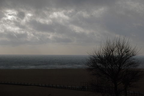 Figueira view 2