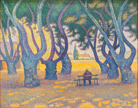 Place des Lices view 1