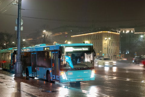 Moskovsky District view 2