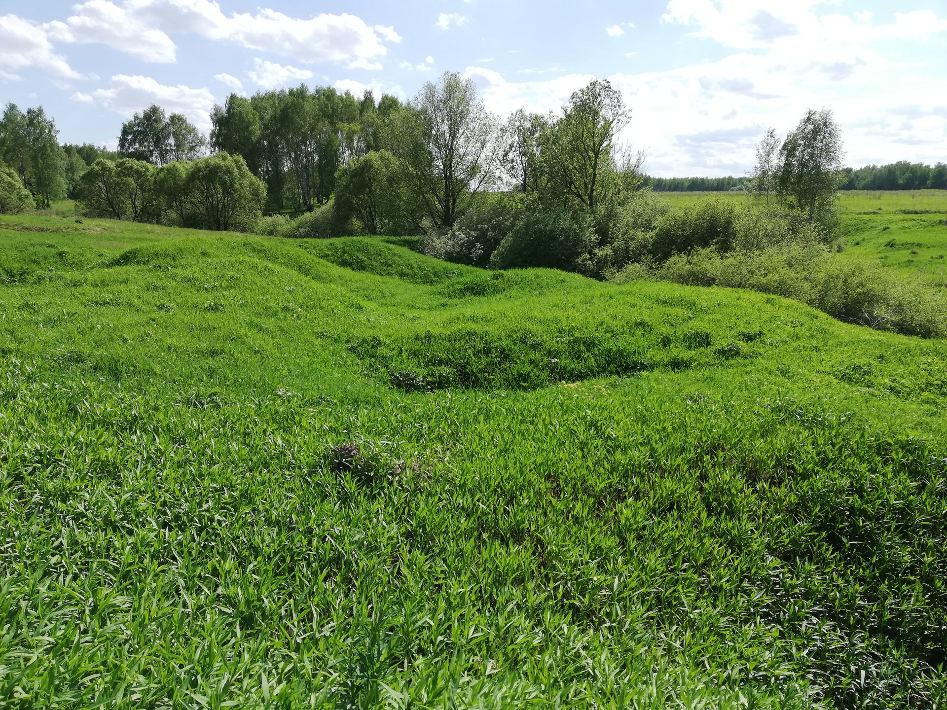 Troitsky Administrative Okrug view 1