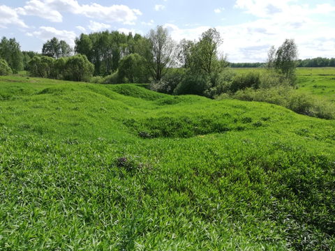 Troitsky Administrative Okrug view 1