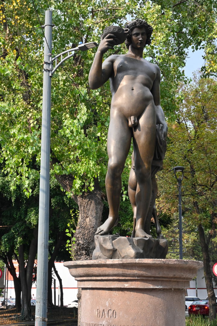 Álvaro Obregón district
