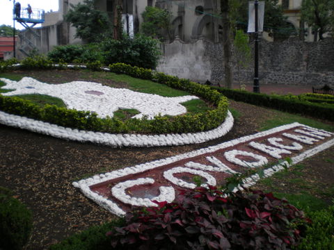 Coyoacán view 1
