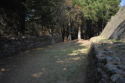 Magdalena Contreras view 2