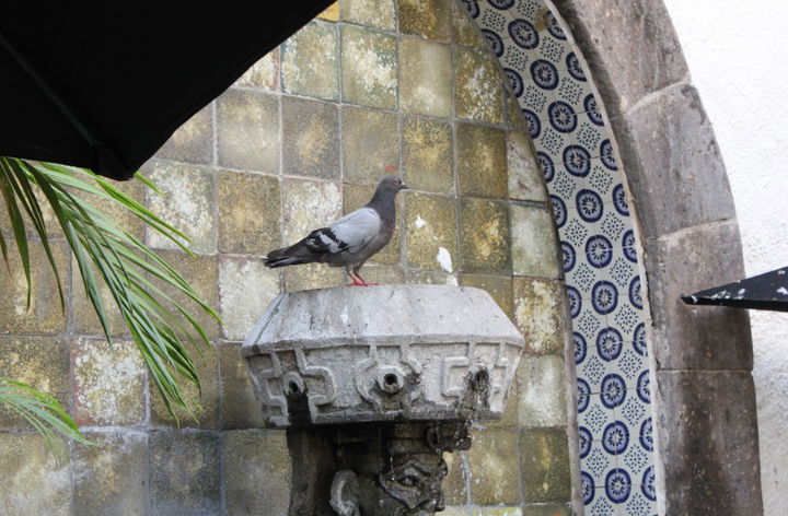Tlaquepaque district