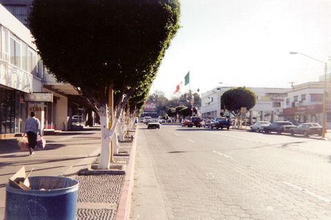 Agua Caliente view 2