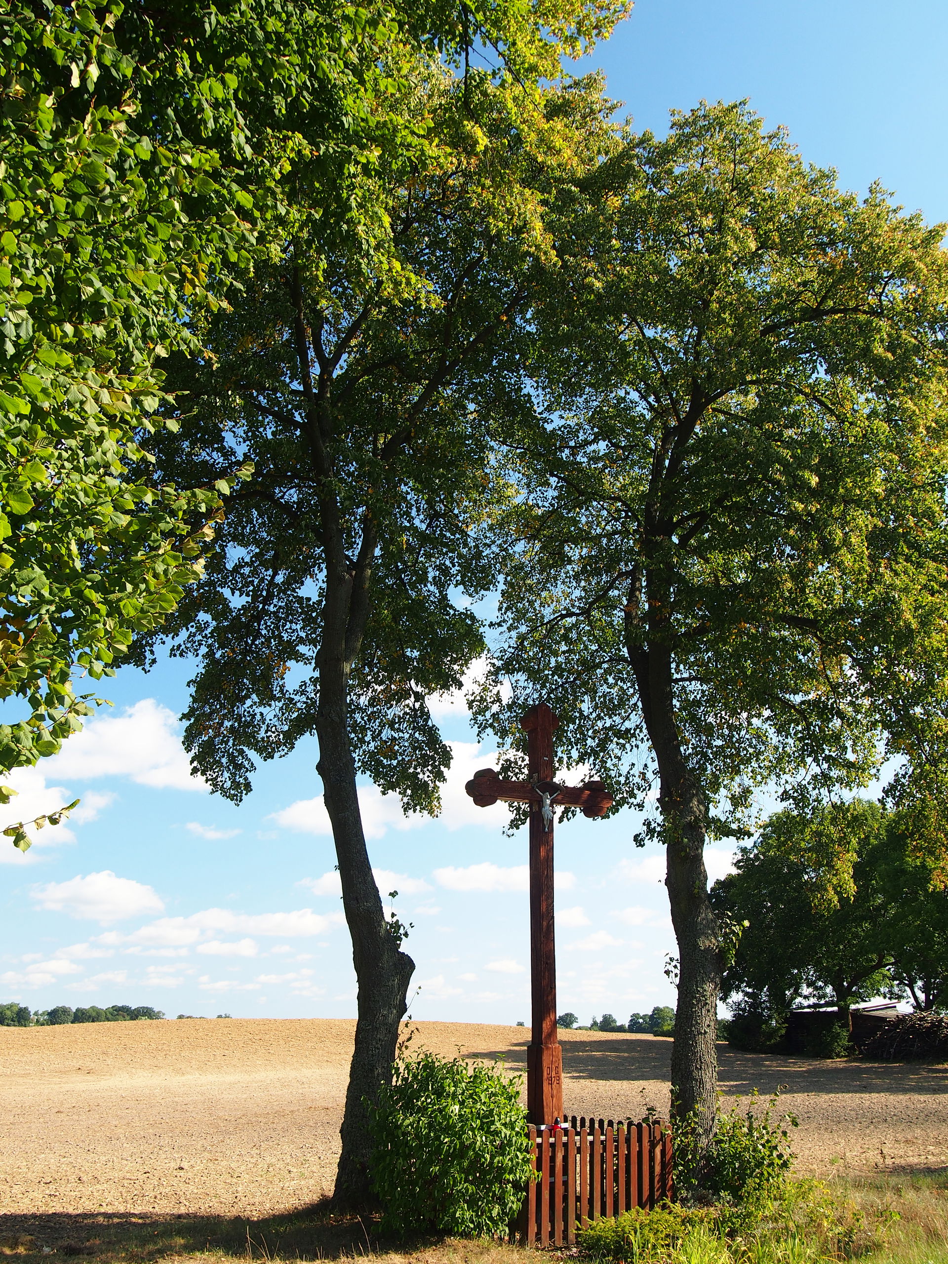 Świetlikowo view 2