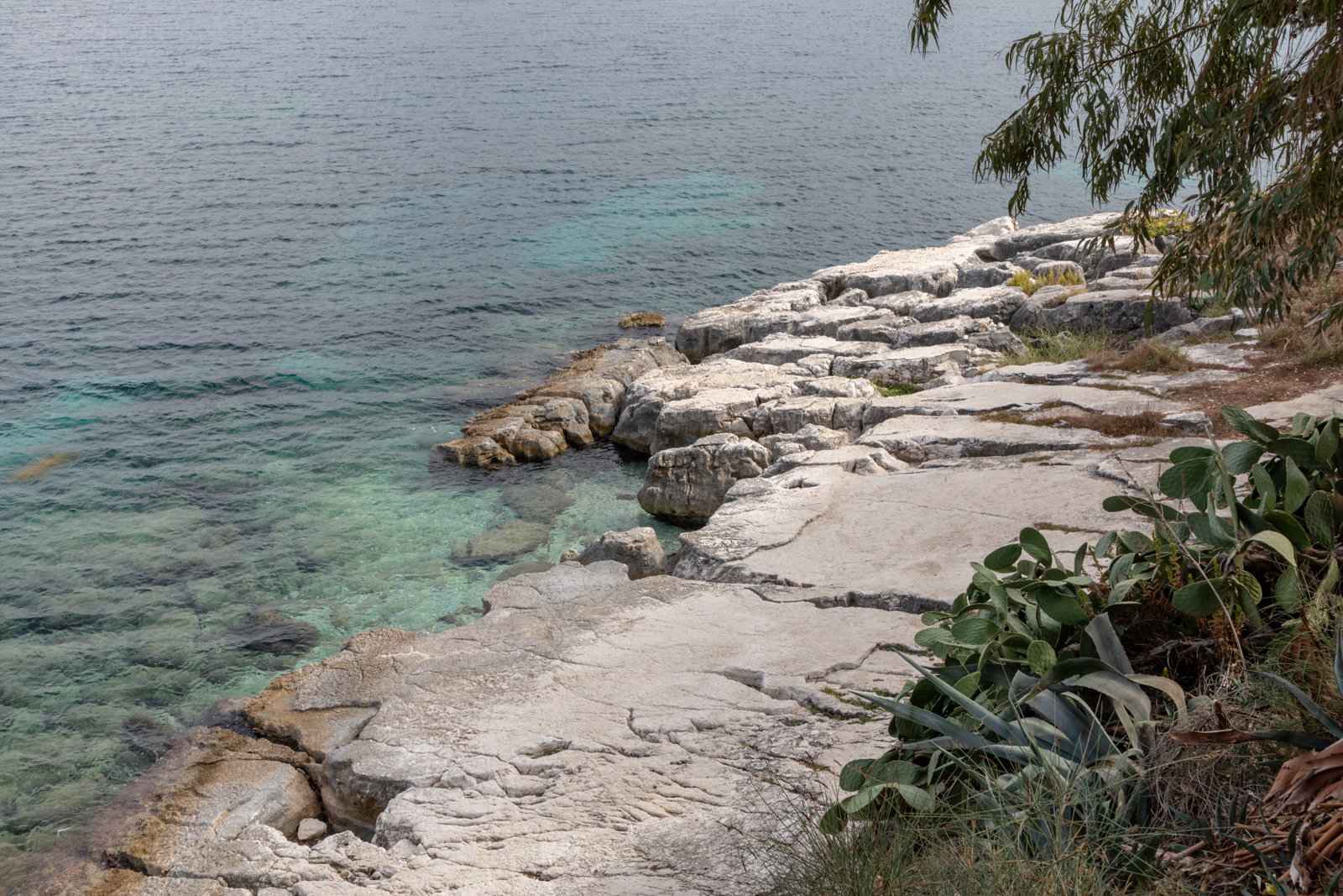 Kassiopi district