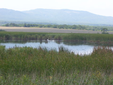 Alepou view 1
