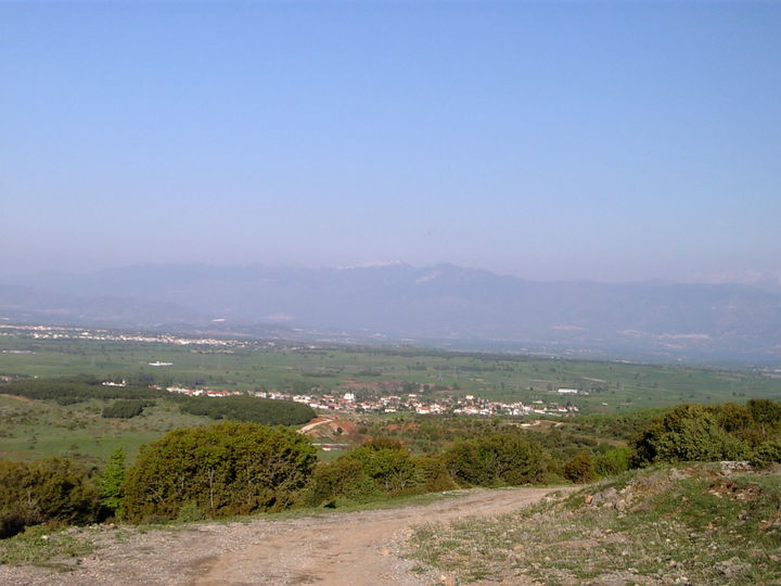 Kozani district