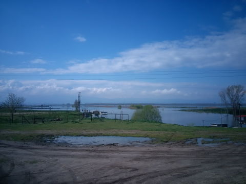Pethelinos view 1