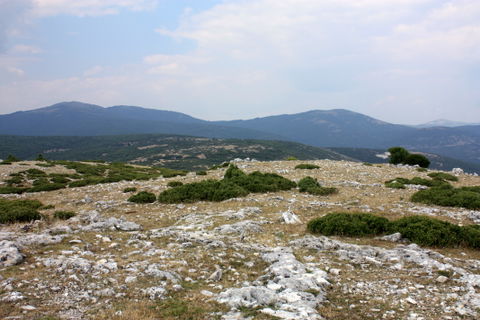 Lekani view 2