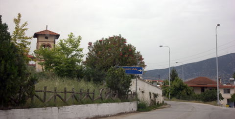 Orfani view 2