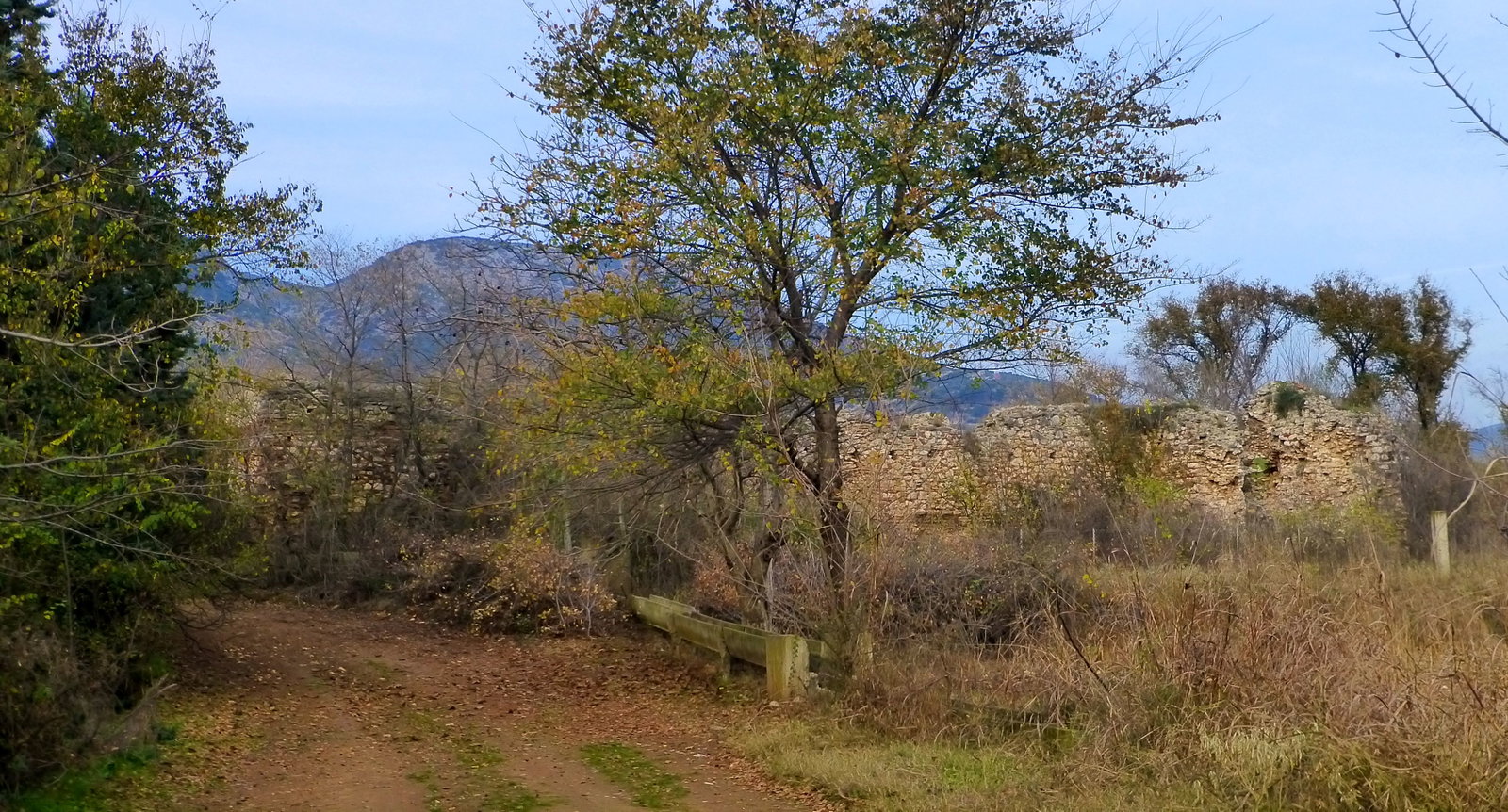 Petropigi district
