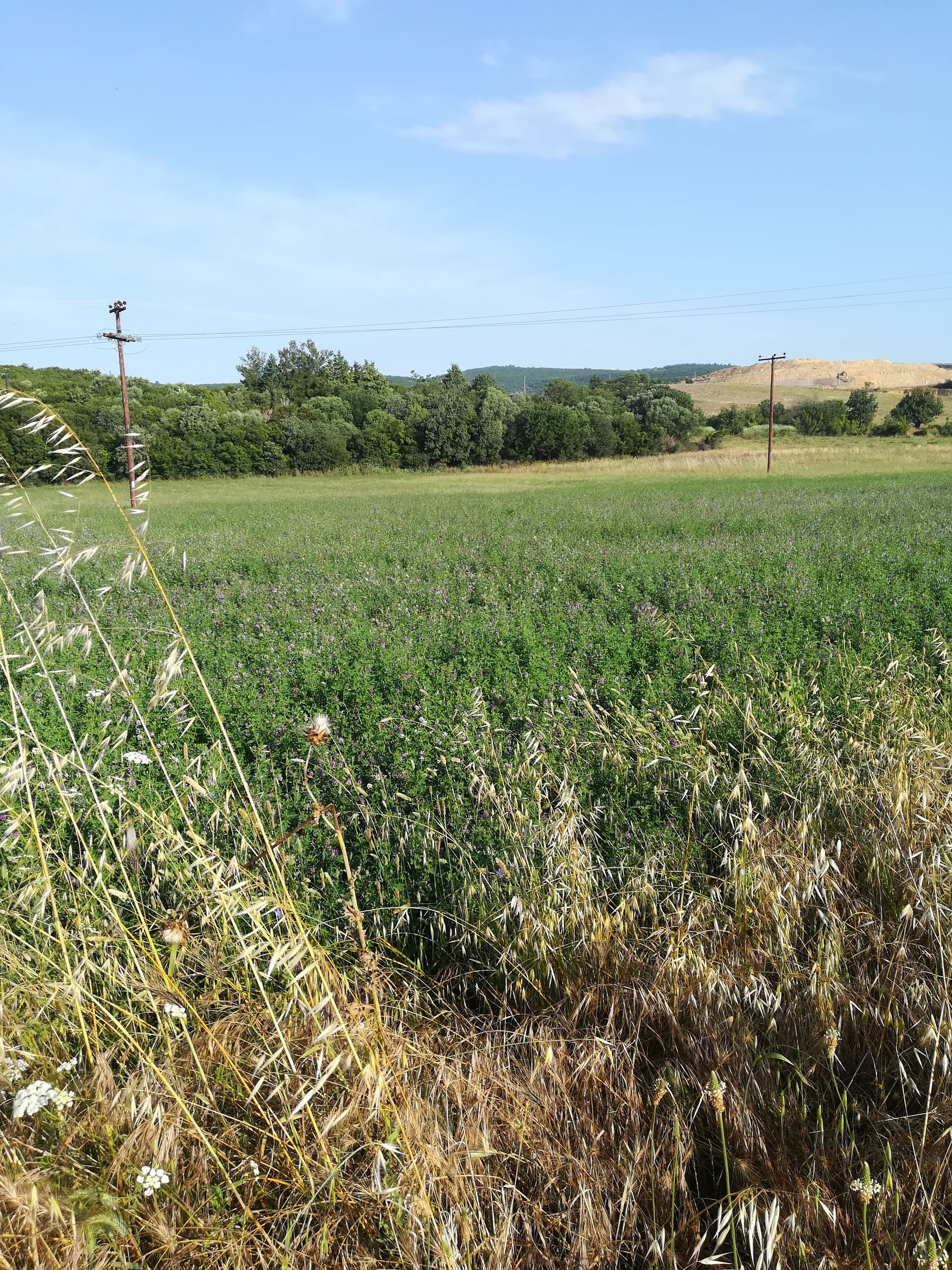 Avantas view 2