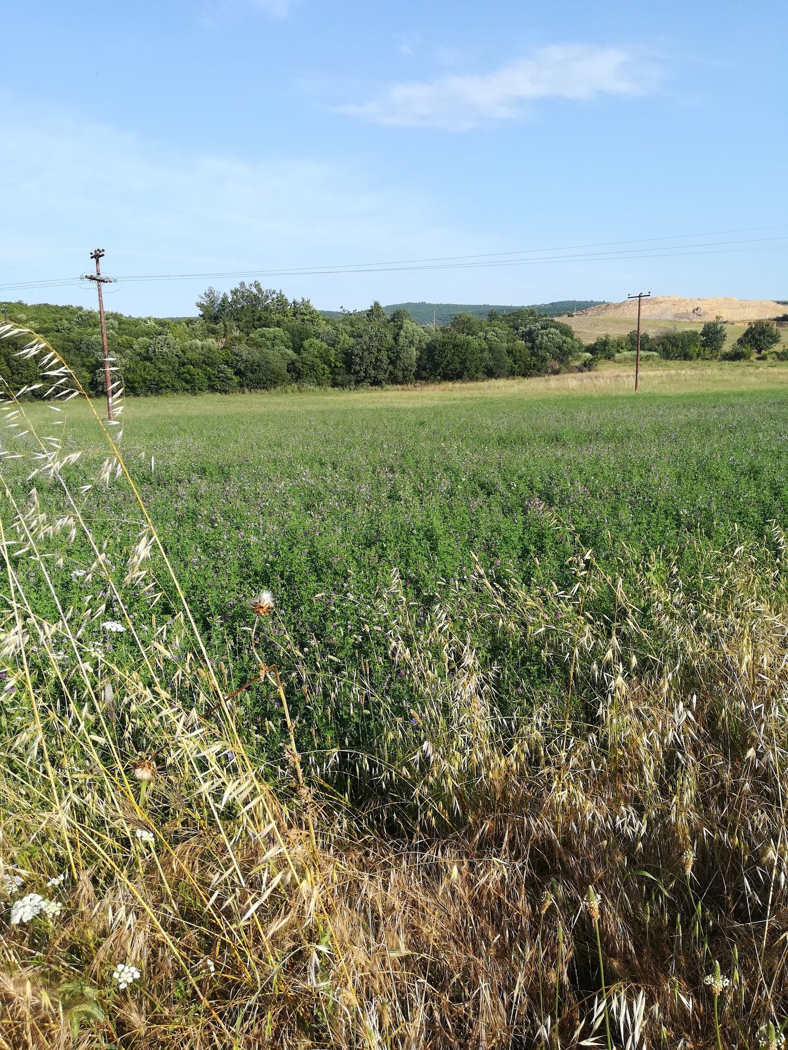 Avantas district