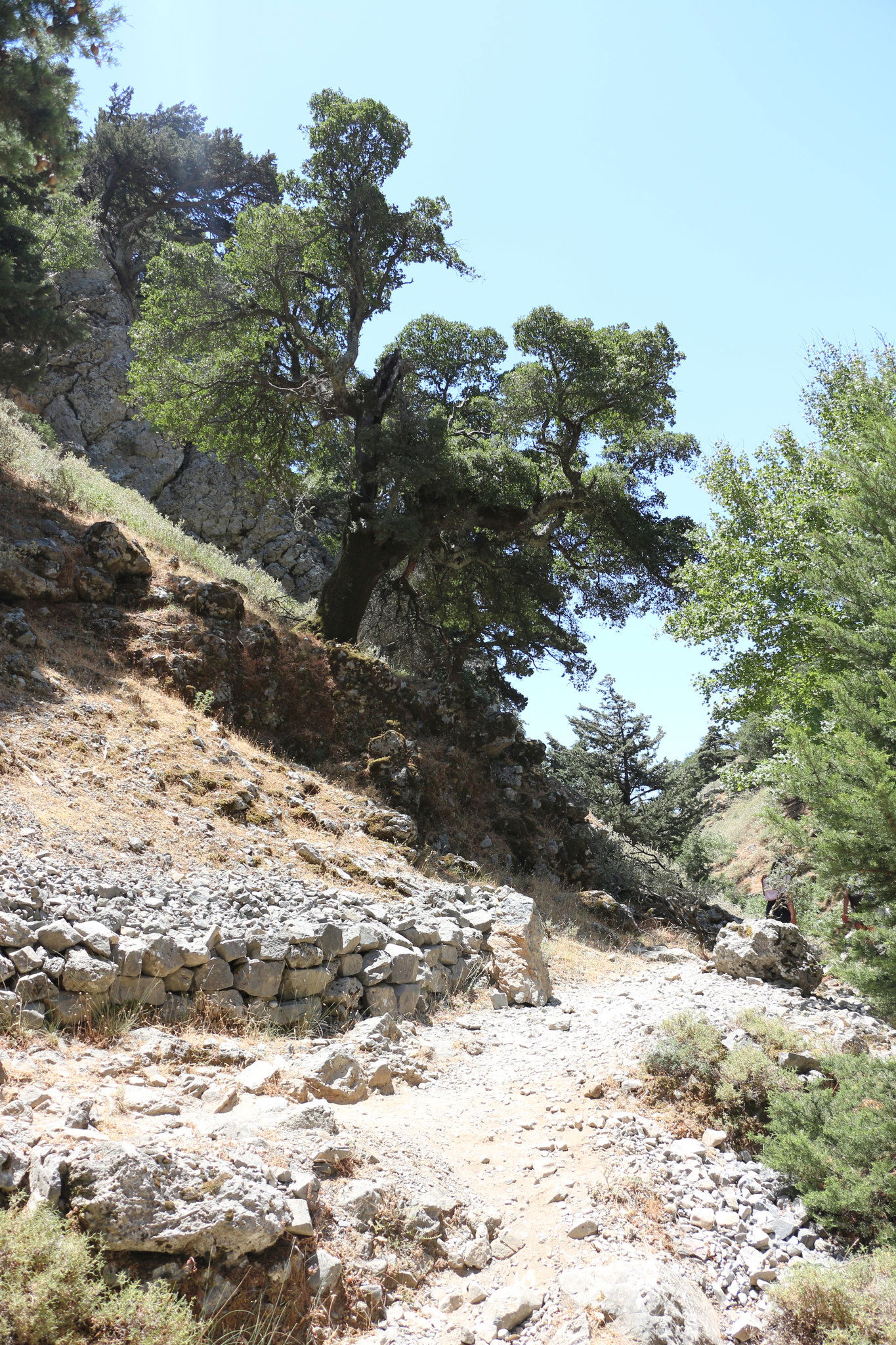 Kantanos-Selino view 1