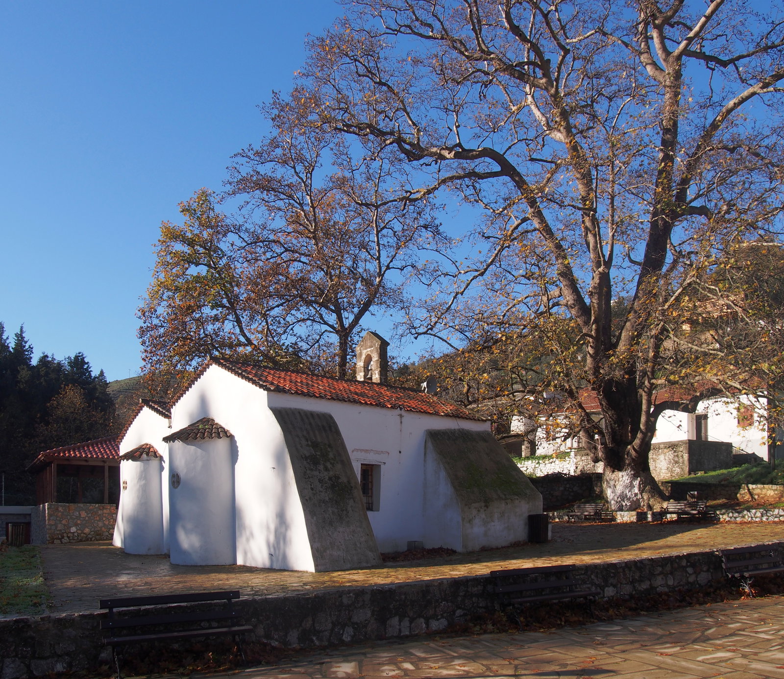 Theriso district