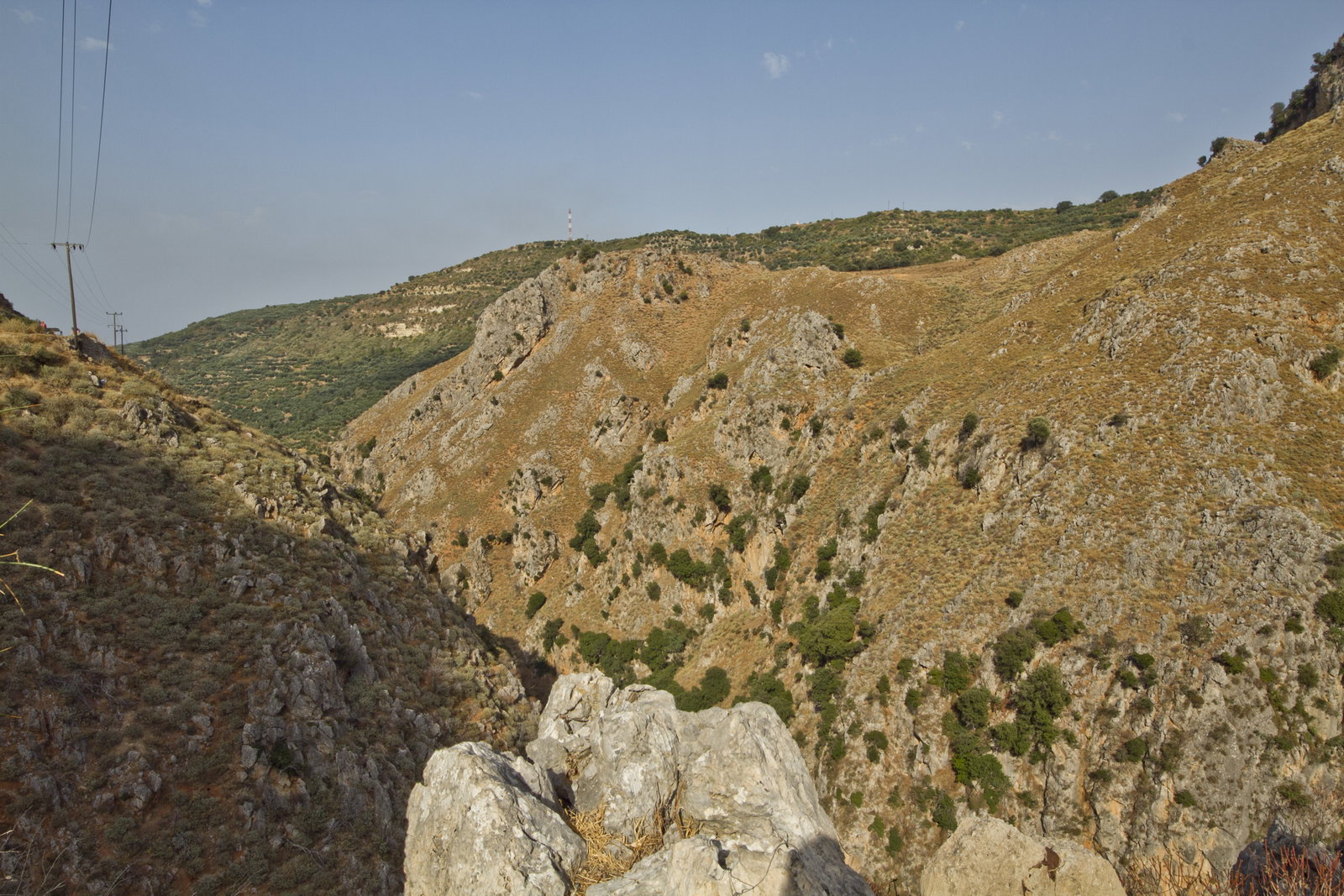 Topolia district
