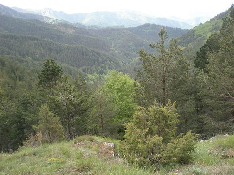 Paranesti view 1