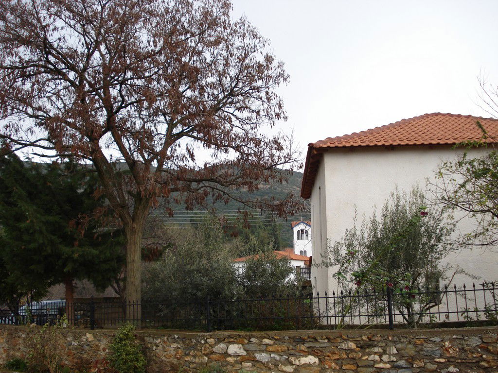 Agora view 2