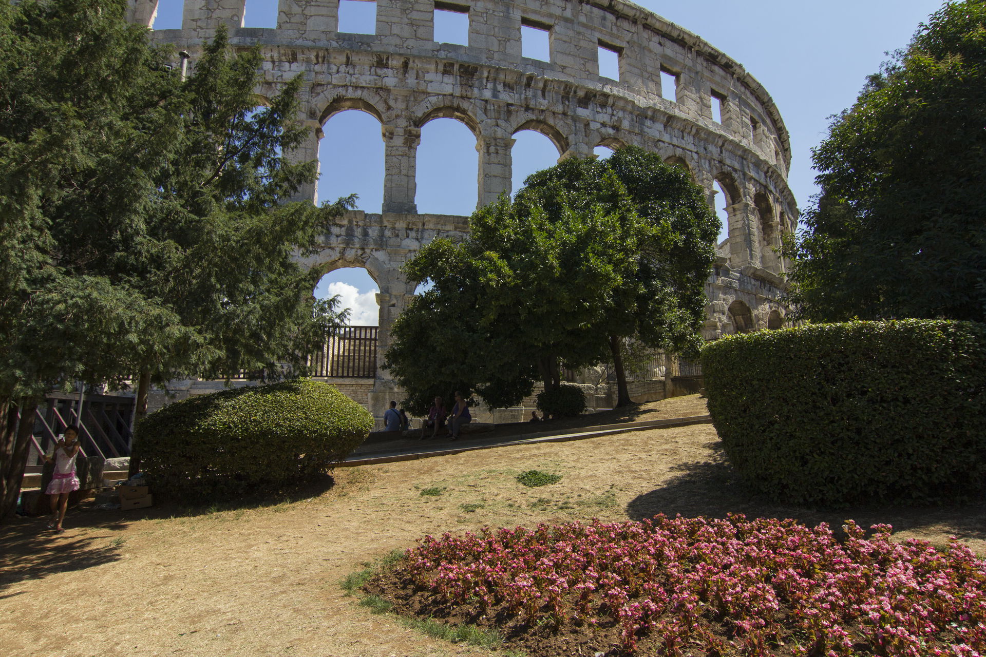 Arene view 2