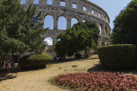 Arene view 2