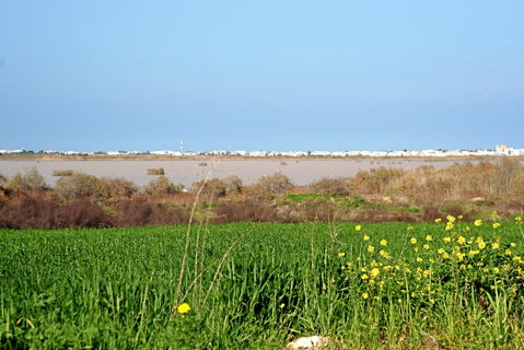 Famagusta Municipality view 1