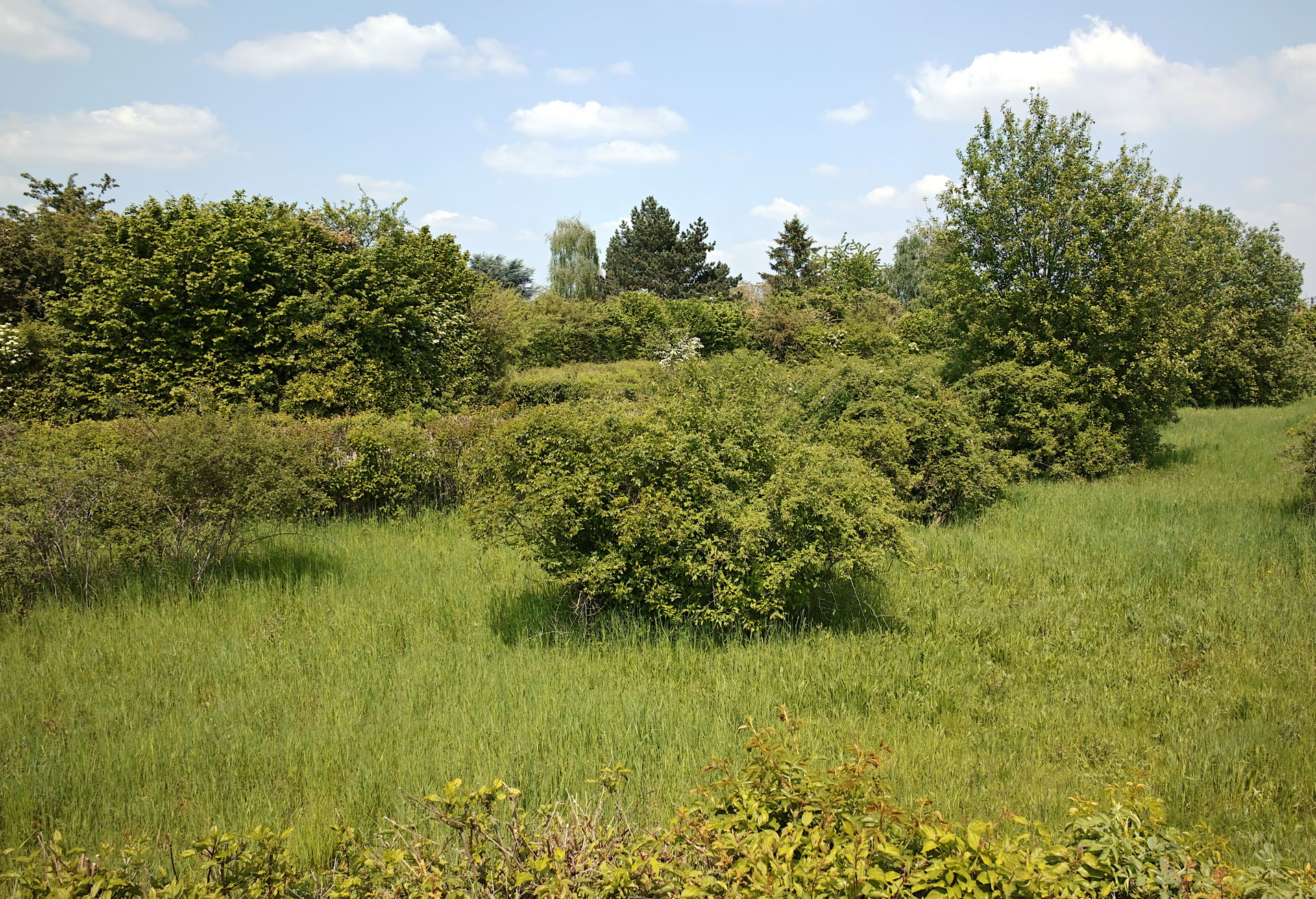 Faches-Thumesnil view 1