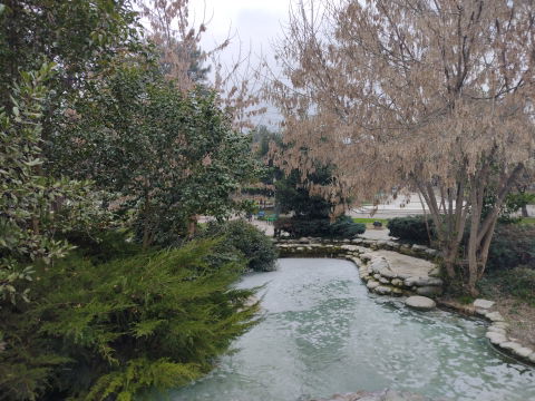 Municipal Park view 1