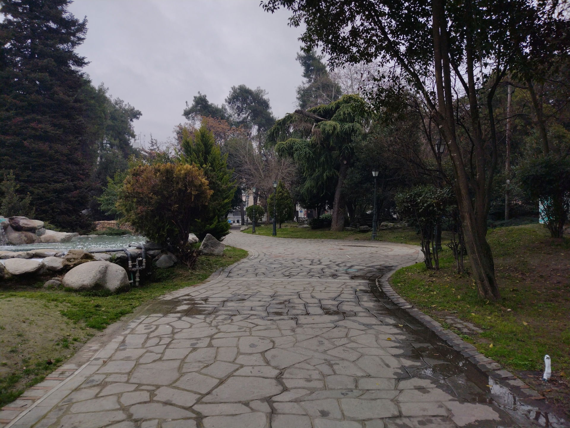 Municipal Park view 2