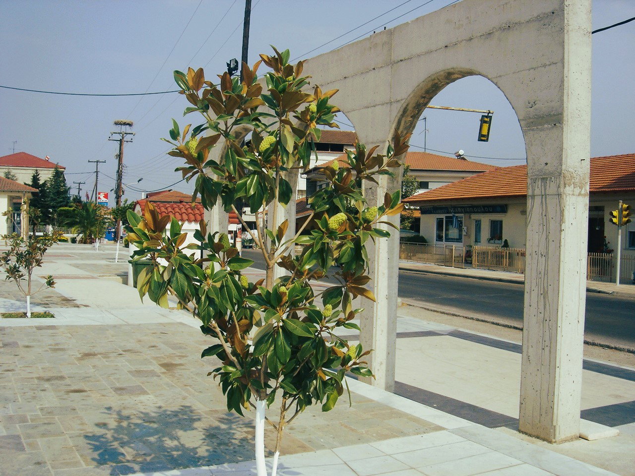 Svoronos district