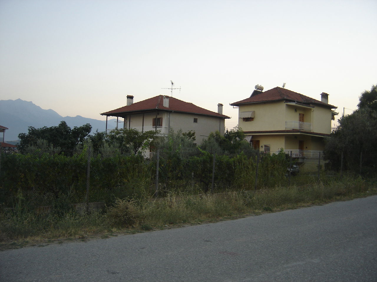 Prosilio view 2